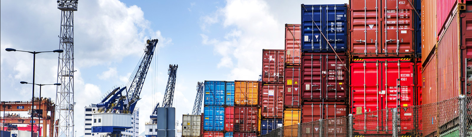 odc cargo exporters